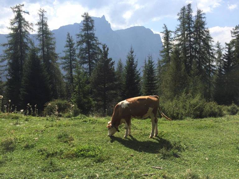 Kastel Seiser Alm (Castelrotto/Alpe di Siusi)