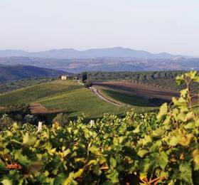 Туры в Il Borgo Suites a Castiglion del Bosco в Италии