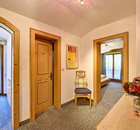 Отдых в Richard Oblasser Holiday Apartment - Австрия, Майрхофен