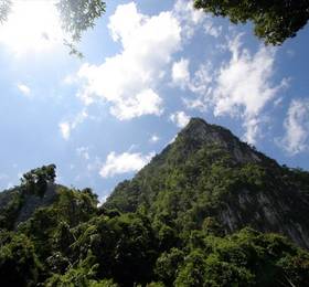 The Cliff & River Jungle Resort в Пхукете
