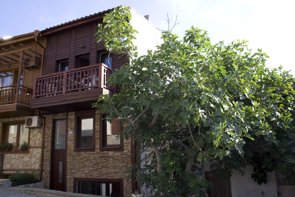 Villa Sineva