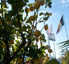 Туры в Tuscany Villas в Италии
