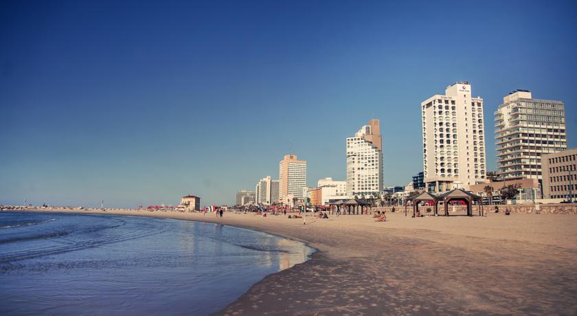 Brown TLV Urban Hotel
