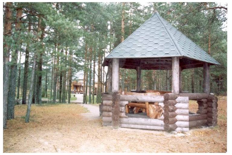 Несси