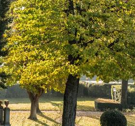 Villa Olmi Firenze в Флоренции