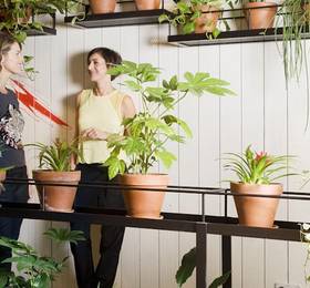 Туры в Praktik Garden в Испании