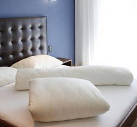 Туры в Swiss Heidi Hotel, Maienfeld в Швейцарии