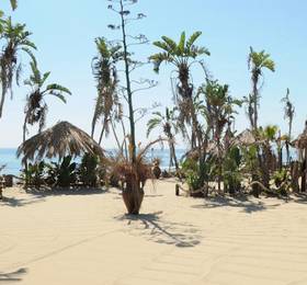Отдых в Villaggio Turistico Internazionale La Plaja - The Original Cucaracha - Италия, Сицилия