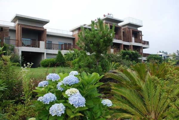 Jejueco Suites 3* Южная Корея, Чунджу