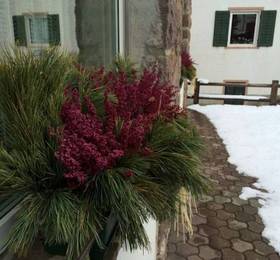 Туры в Garni Rives B&B в Италии