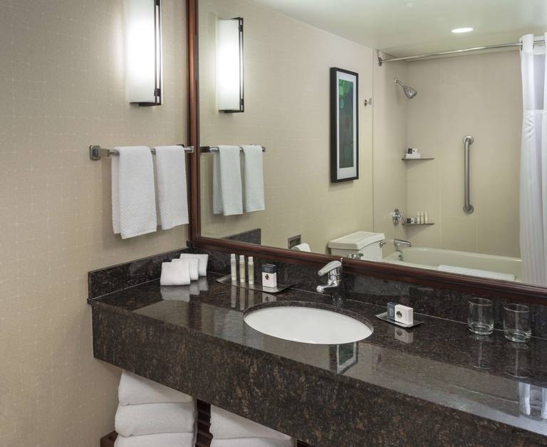 DoubleTree Suites by Hilton Hotel & Conference Center Chicago-Downers Grove