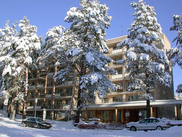 Стайки Беларусь, Минск