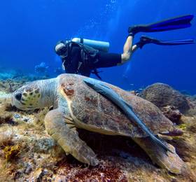Туры в Casa del Mar Cozumel Hotel & Dive Resort в Мексике