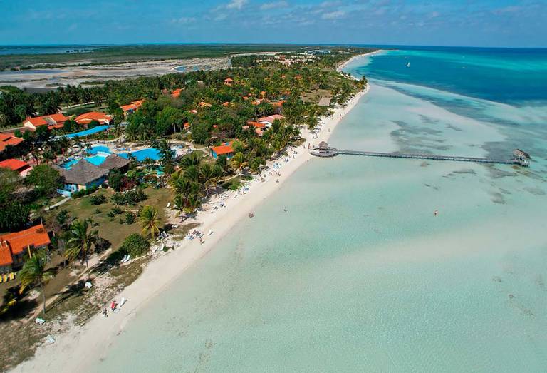 Starfish Cayo Guillermo