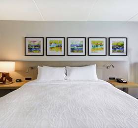 Hilton Garden Inn Panama City в Панаме-Сити