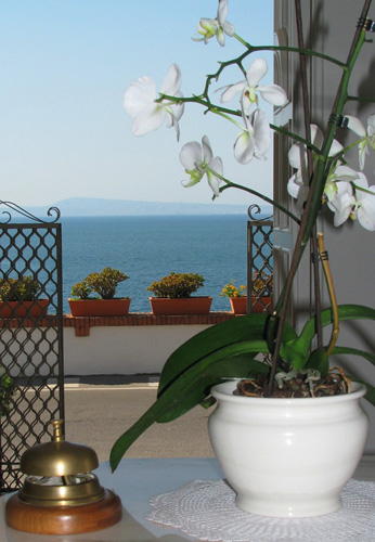 Villa Garden