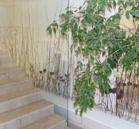 Туры в Villa Cibele Hotel Residence в Италии