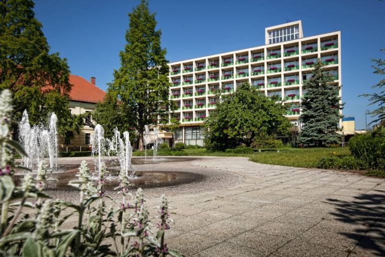 Aranyhomok