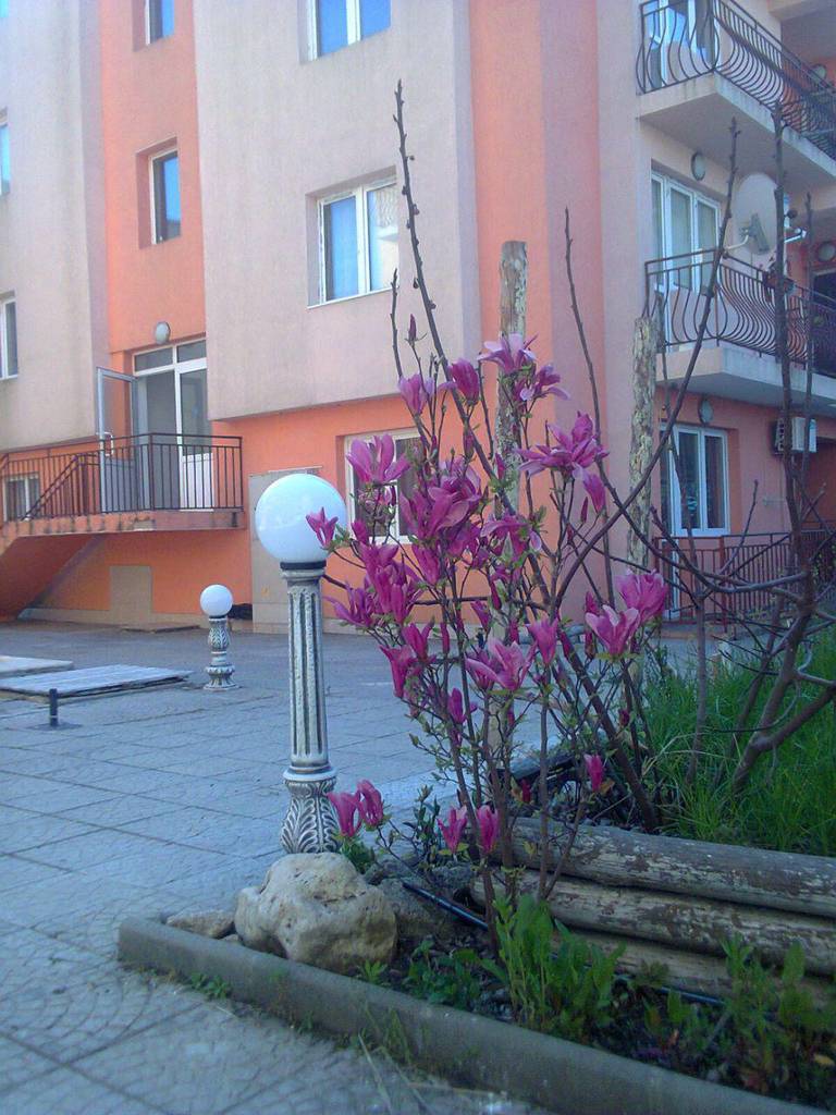 Остров сокровищ