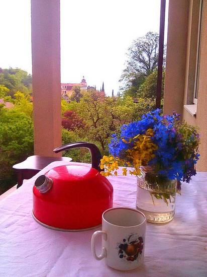 Guest House Agava on Cherkesskaya 36 Абхазия, Гагра