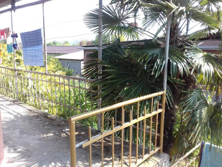 Guest House Zelenaya Roscha