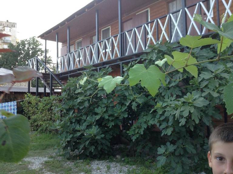 Guest house Pizunda