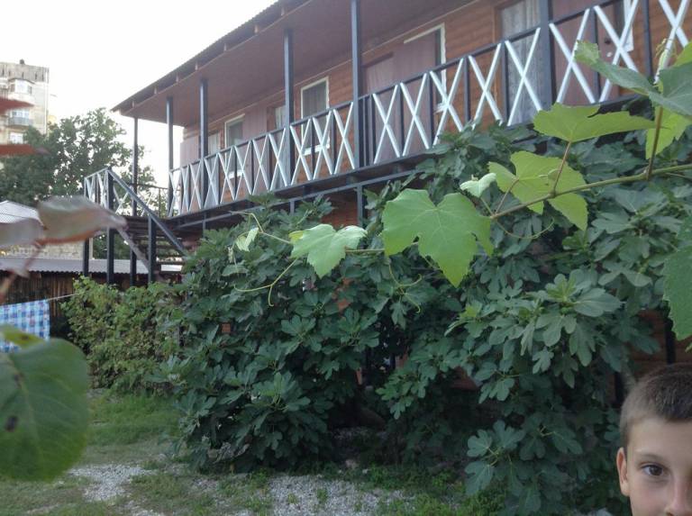 Guest house Pizunda