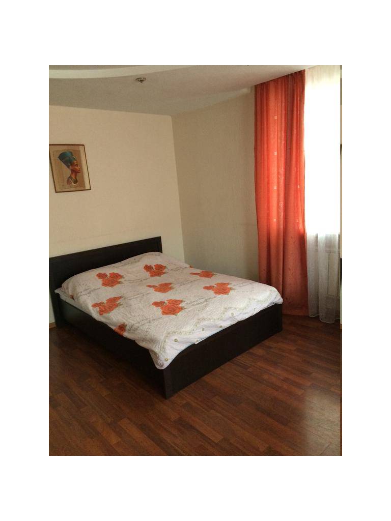 Apartment na Frunze 22