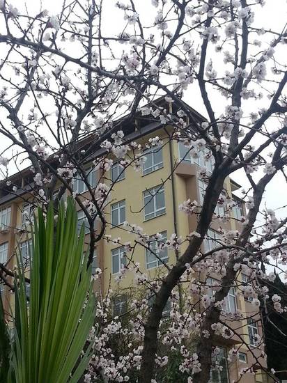 Apartment on Khlebozavodskoy 6A Россия, Сочи