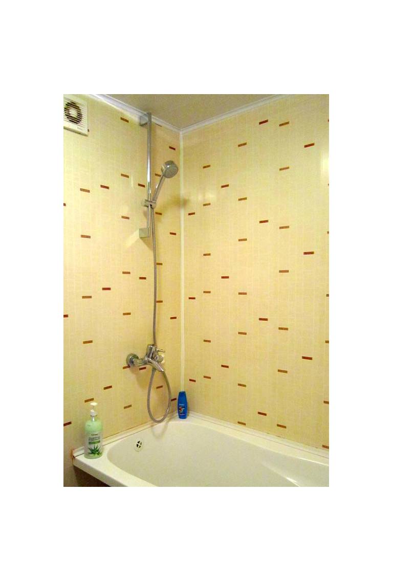 Apartment on Prospect Dimitrova