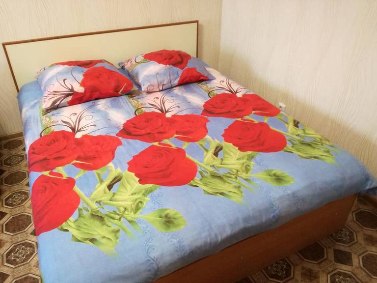 Apartment COMFORT on Kuibyshev Street