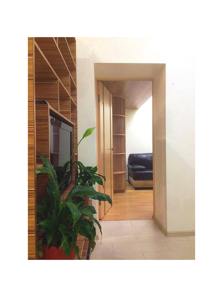 Apartment Full-House on Maksimova, 5