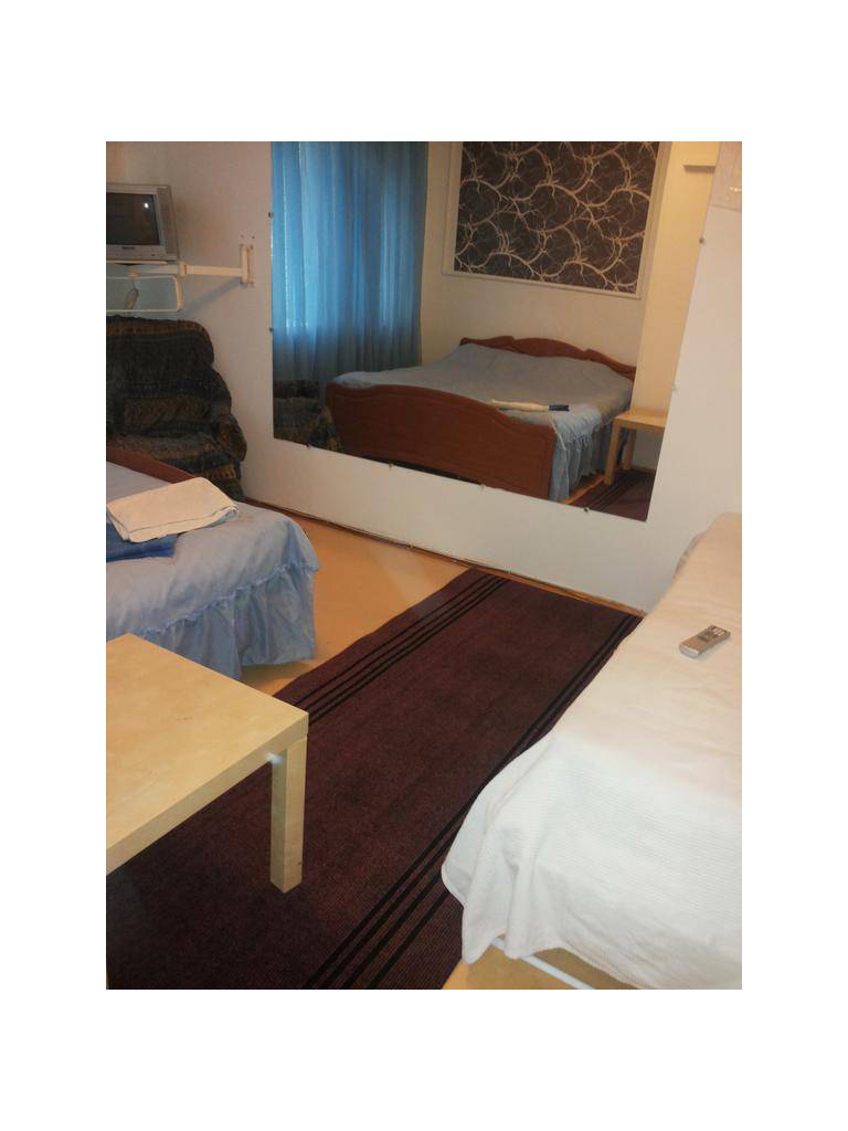 Apartment on Turgeneva 11