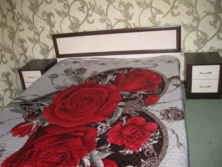 Apartment Moskovskiy 110i