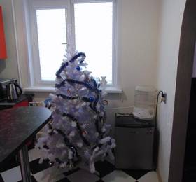 Туры в Apartment na Lakina 135 в России