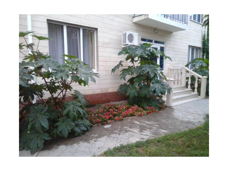 Guest house Pontiyskaya 16