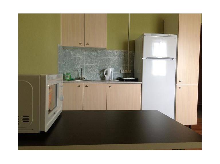 Mini-hotel na Amurskoy