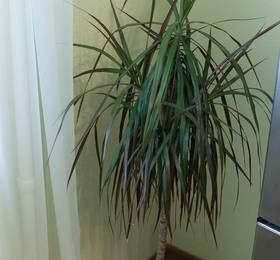 Туры в Apartment on Komsomolskaya 75 в России