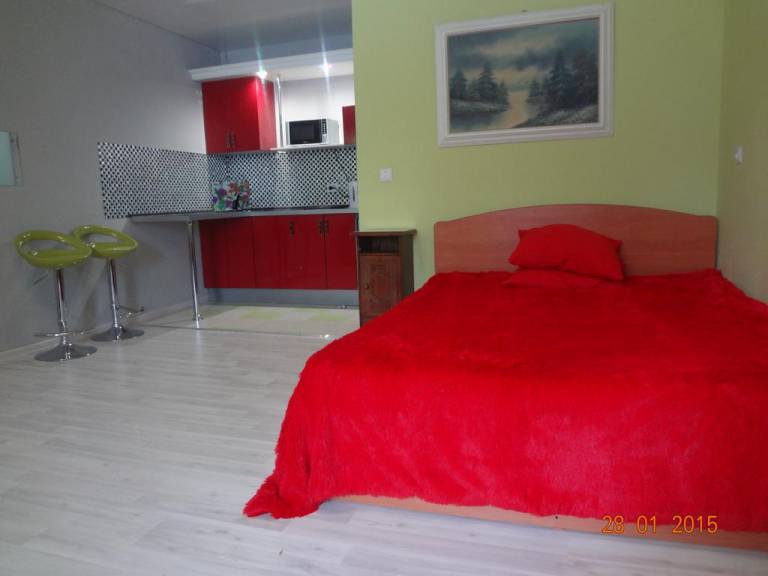 Novoshosseynaya Apartment