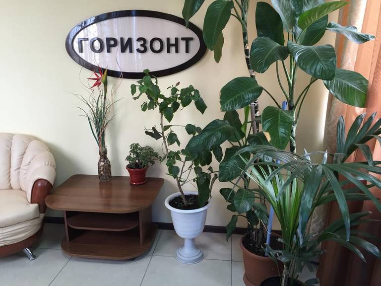Hotel Gorizont