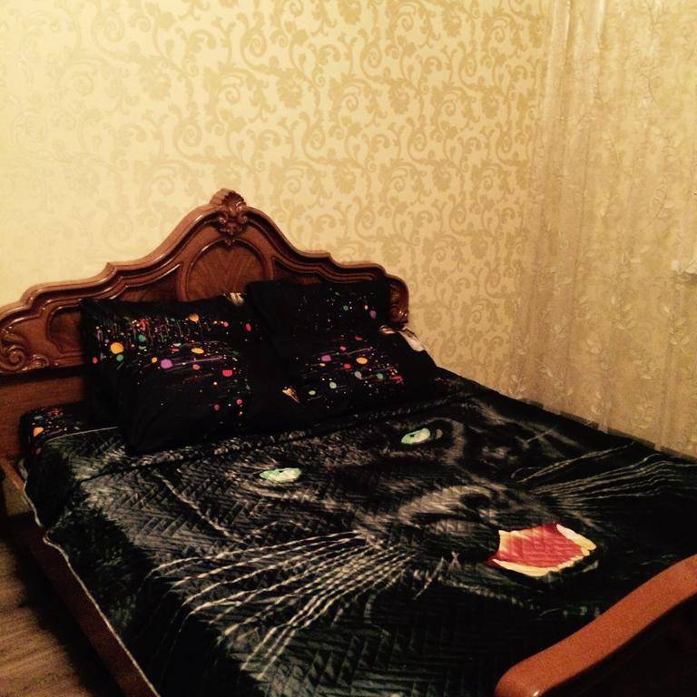 Apartament na Karolinskogo