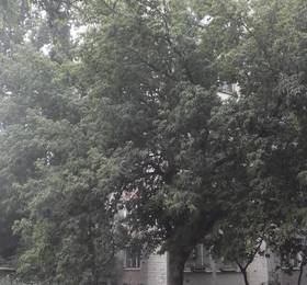 Туры в Apartments on 1-ya Begovaya 5 в России
