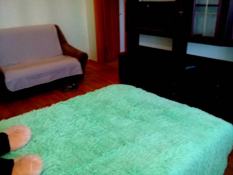 Apartment Sevastopolskaya 78