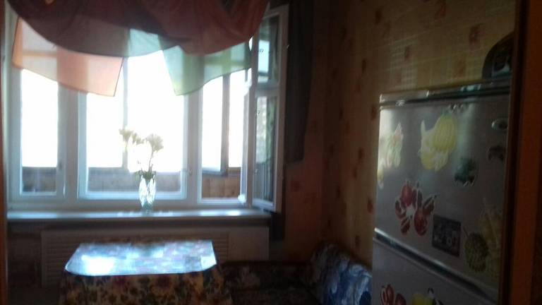 Apartment on Dzhona Rida 10