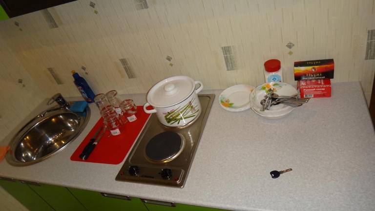 Apartment Novokosyno