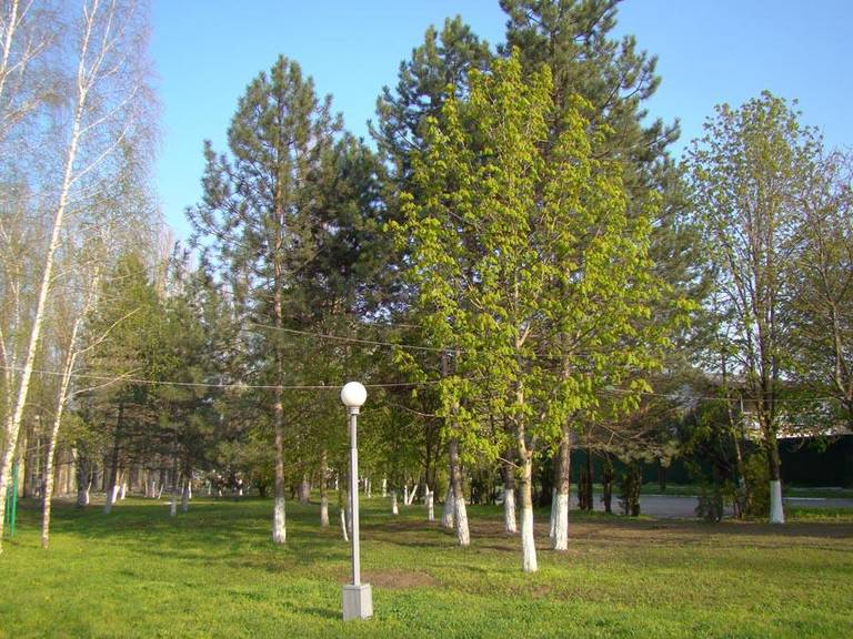 Gostinitsa Volna