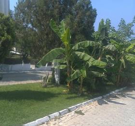 Rengins Villa в Кушадасах