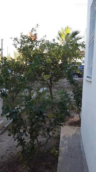 Demre Apart Турция, Тургутреис