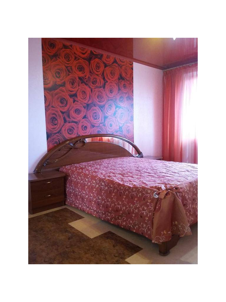 Apartment Domashniy Uyut