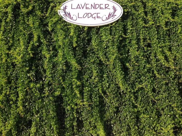 Lavenders Lodge Hotel Турция, Калкан